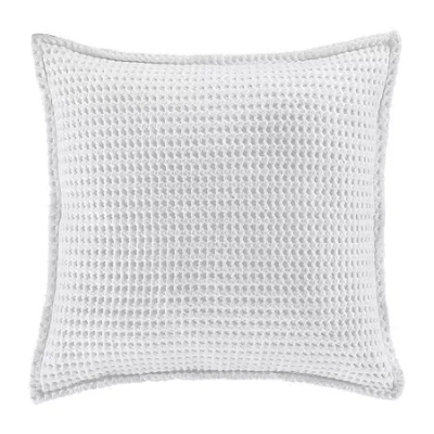 Queen Street Pine Beach Euro Sham In White