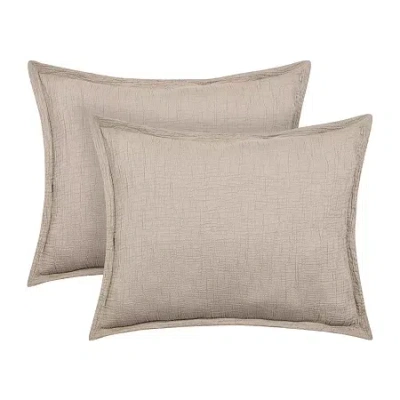 Queen Street Seacove Hypoallergenic Pillow Sham In Brown
