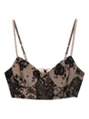 Quetsche Lace Corset In Brown