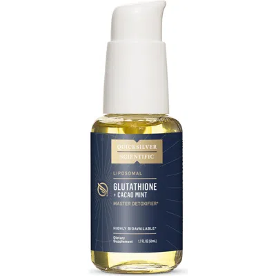 Quicksilver Scientific Liposomal Glutathione Cacao Mint Antioxidant Liquid Supplement