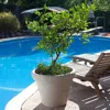 Quikfurn 12-inch Diameter Round Planter In Weathered Concrete Finish Poly Resin