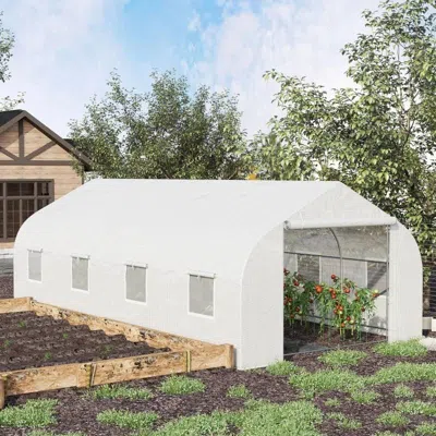 Quikfurn 19.5 Ft X 9.8 Ft Outdoor Greenhouse W/ White Pe Cover And Heavy Duty Steel Frame