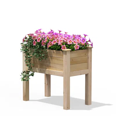 Quikfurn 32 In X 16 In X 31 In Elevated Cedar Wood Raised Garden Bed - Made In Usa