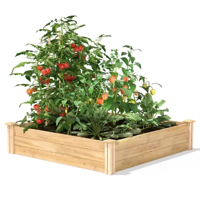 Quikfurn 4ft X 4ft Outdoor Pine Wood Raised Garden Bed Planter Box - Made In Usa