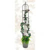 Quikfurn 60-inch Bronze Finish Steel Outdoor Garden Trellis Obelisk
