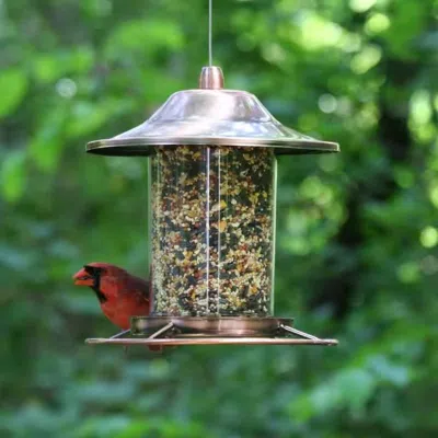 Quikfurn Copper Bird Feeder With Plastic Seed Reservoir Tube And Circular Perch
