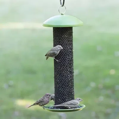 Quikfurn Outdoor Metal Mesh Tube Hanging Bird Feeder With Green Top And Perch