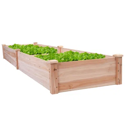 Quikfurn Solid Cedar Wood 8 Ft X 2 Ft Raised Garden Bed Planter