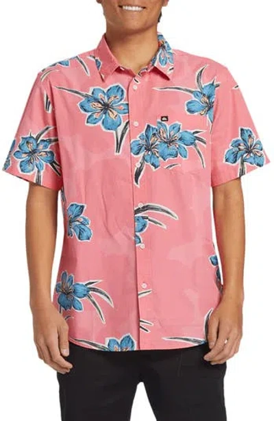 Quiksilver Apero Floral Short Sleeve Stretch Cotton Button-up Shirt In Strawberry Print