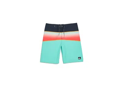 Quiksilver Boys Everyday Panel (big Kid) Boy's Shorts Aqua : Xl (16 Big Kid), Polyester In Multi