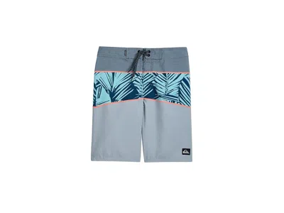 Quiksilver Boys Everyday Panel (big Kid) Boy's Shorts Iron : Lg (14 Big Kid), Polyester In Gray