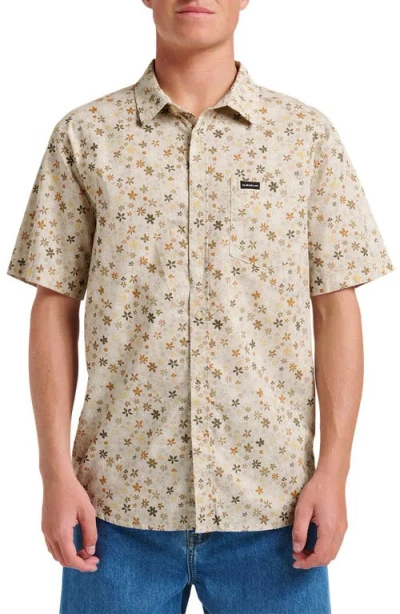 Quiksilver Ditsy Mini Classic Floral Short Sleeve Cotton Button-up Shirt In Multi