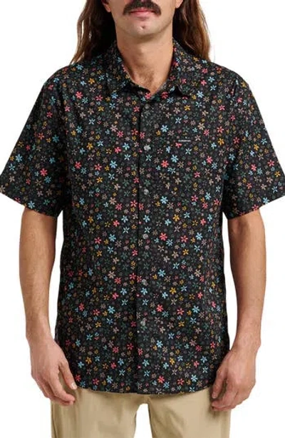 Quiksilver Ditsy Mini Classic Floral Short Sleeve Cotton Button-up Shirt In Black