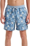 Quiksilver Everyday 17" Terra Swim Trunks In Blue