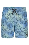 Quiksilver Everyday Mix Volley Swim Trunks In Blue