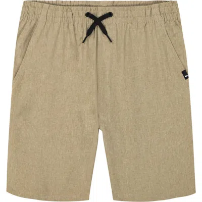 Quiksilver Kids' Eddie Amphibian Shorts In Cornstark