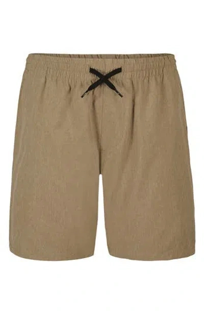 Quiksilver Kids' Eddie Hybrid Shorts In Brown