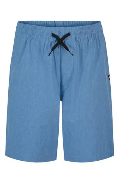 Quiksilver Kids' Eddie Hybrid Shorts In Blue