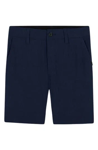Quiksilver Kids' Miles Amphibian Shorts In Blue