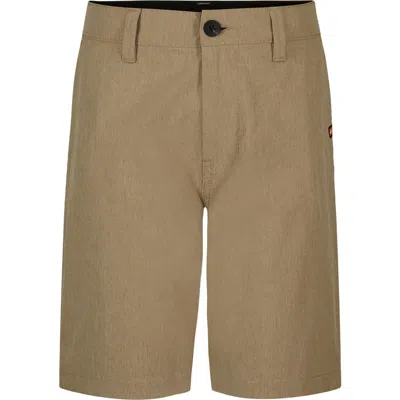 Quiksilver Kids' Miles Hybrid Shorts In Brown