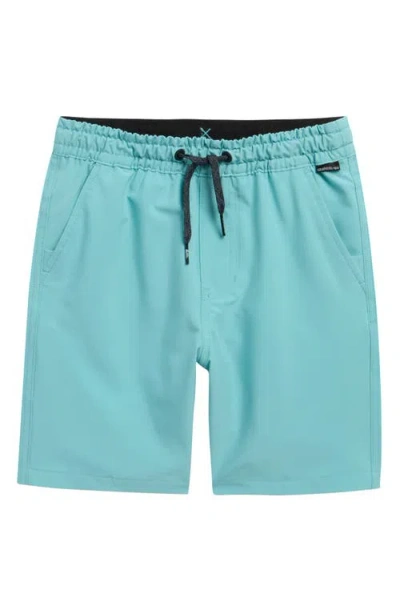 Quiksilver Kids' Taxer Amphibian Board Shorts In Blue
