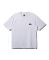 Quiksilver Everyday Surf Short Sleeve Tee In Sje0-quarry In White