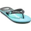 Quiksilver Kids'  Molokai Art Ii Flip Flop In Blue