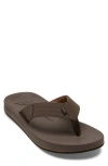 Quiksilver Rivi Iii Flip Flop In Brown