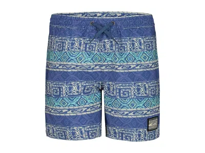 Quiksilver Surfsilk Global Volley (big Kids) Boy's Shorts Blue : Xl (16 Big Kids), Elastane/polyester