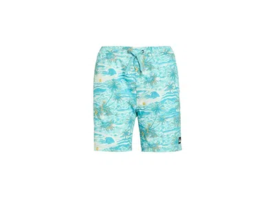 Quiksilver Surfsilk Mix Volley Boy's Shorts Aqua : Xl (16 Big Kids), Elastane/polyester In Blue