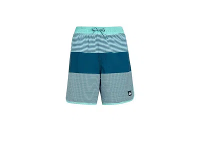Quiksilver Surfsilk Tijuana Volley Boy's Shorts Blue Surfsilk Tj : Lg (14 Big Kids), Elastane/polyester In Black