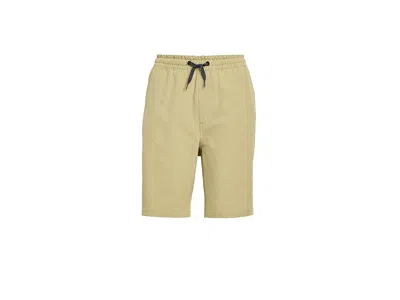 Quiksilver Taxer Amphibian Boy's Shorts Twill : Lg (14 Big Kids), Polyester/spandex In Green
