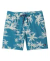 Quiksilver Waterman Men's Palms Swimsuit In Larpspur Print 4