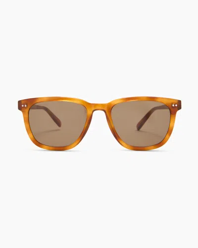 Quince Athens Polarized Acetate Sunglasses In Clear Brown With Brown Lens