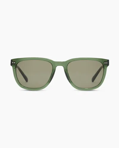 Quince Athens Polarized Acetate Sunglasses In Clear Sage With Green Lens