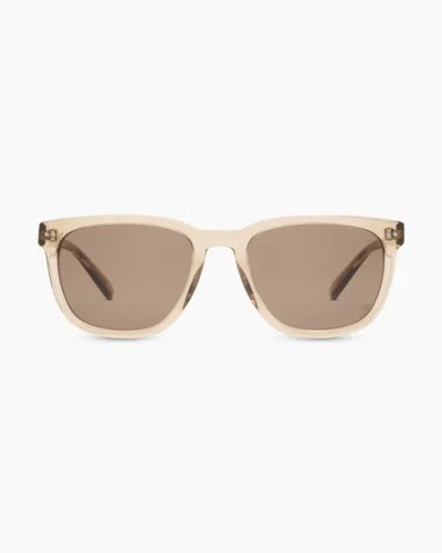 Quince Athens Polarized Acetate Sunglasses In Clear Taupe With Brown Lens