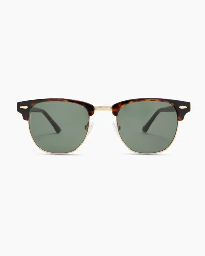 Quince Avery Polarized Acetate Sunglasses In Tortoise With Green Lens