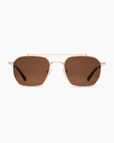 Quince Baja Polarized Stainless Steel Sunglasses In Gold With Brown Lens