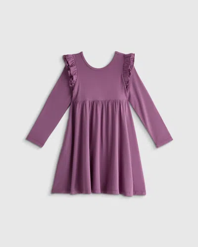 Quince Babies' Bamboo Long Sleeve Flutter Twirl Dress In Purple