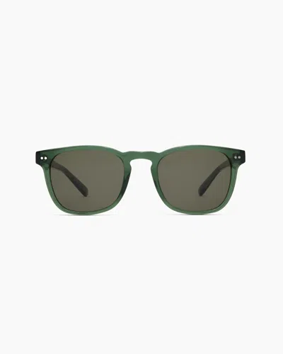Quince Boston Polarized Acetate Sunglasses In Clear Sage With Green Lens