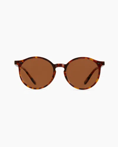 Quince Brixton Polarized Acetate Sunglasses In Ginger Tortoise With Brown Lens