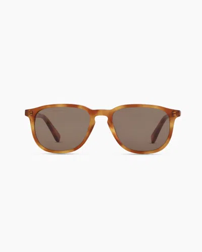 Quince Cameron Polarized Acetate Sunglasses In Clear Brown With Brown Lens
