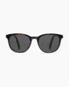 Quince Charlie Polarized Acetate Sunglasses In Tortoise With Brown Lens
