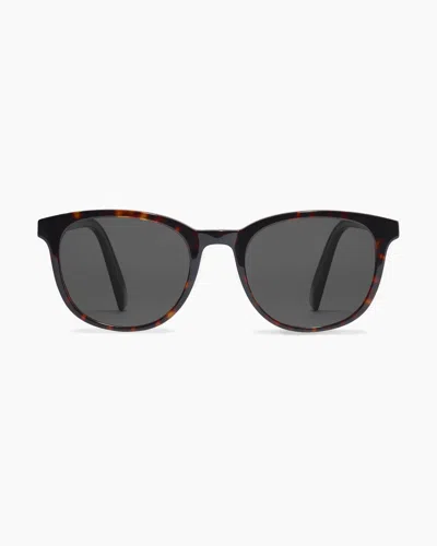 Quince Charlie Polarized Acetate Sunglasses In Tortoise With Brown Lens