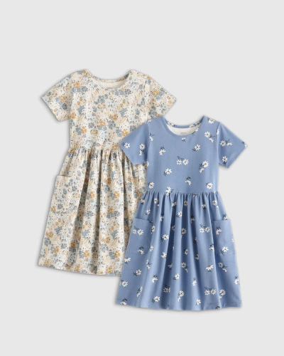 Quince Fit And Flare Pocket Dress 2-pack In Grey Ditsy Floral/blue Daisy