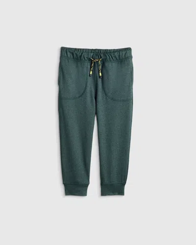 Quince Kids' Flowknit Performance Joggers In Green