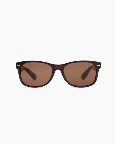Quince Hayden Polarized Acetate Sunglasses In Tortoise With Brown Lens