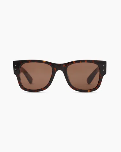 Quince Henry Polarized Acetate Sunglasses In Tortoise With Brown Lens