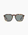 Quince Jude Polarized Acetate Sunglasses In Fawn Tortoise With Green Lens