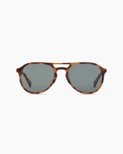 Quince Kai Polarized Acetate Sunglasses In Ginger Tortoise With Green Lens